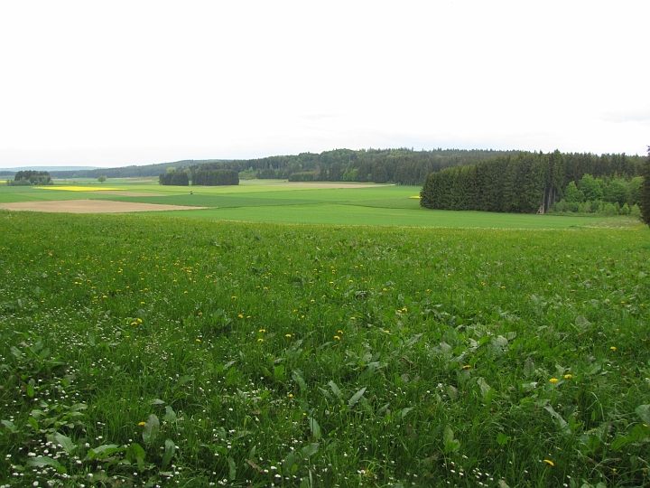 Wanderung 2014_126.jpg